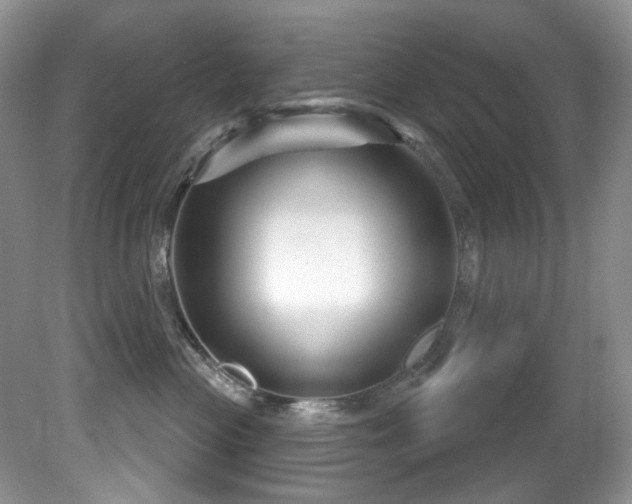 X0000081620477200701151436