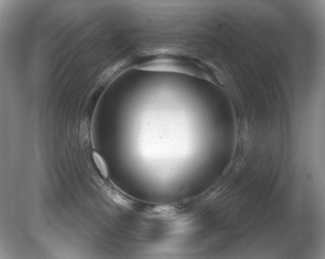 X0000081620478200701151436