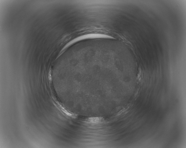 X0000081620479200701151436