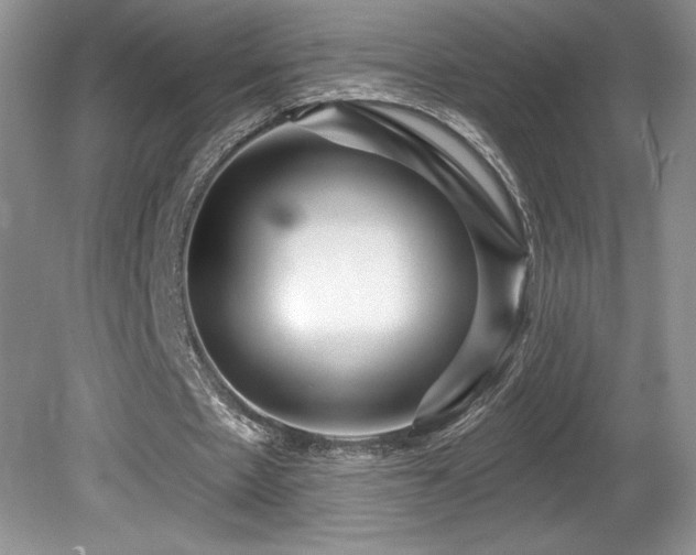 X0000081620481200701151435
