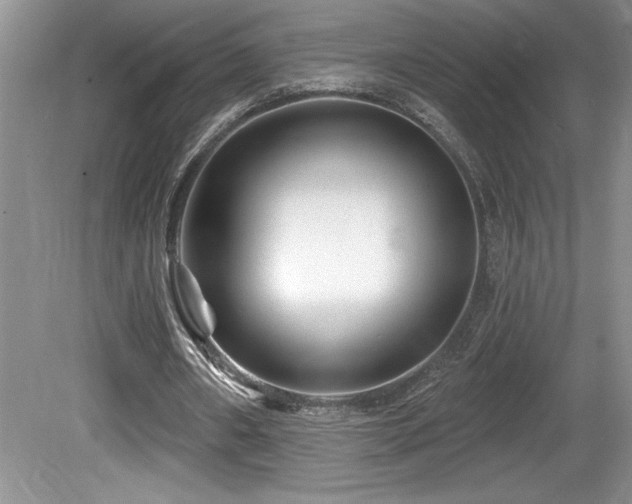 X0000081620482200701151435