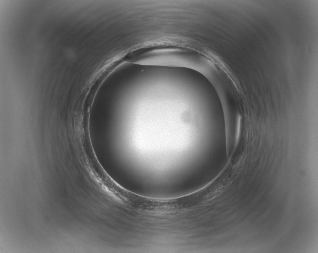 X0000081620485200701151435