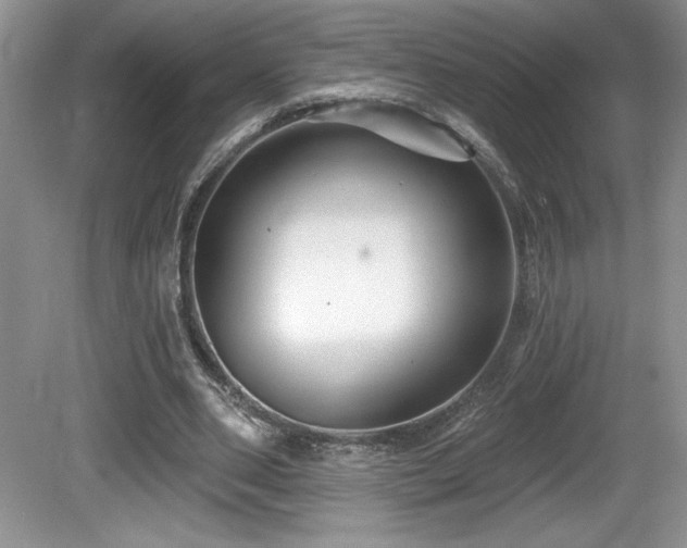 X0000081620486200701151435