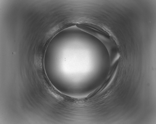 X0000081620489200701151435