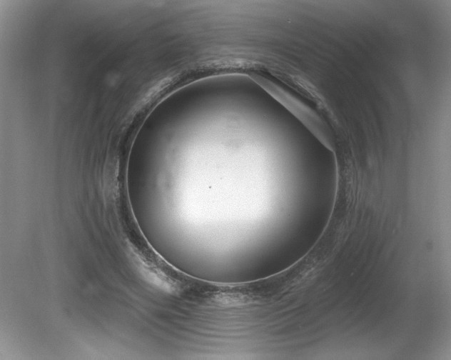 X0000081620490200701151435