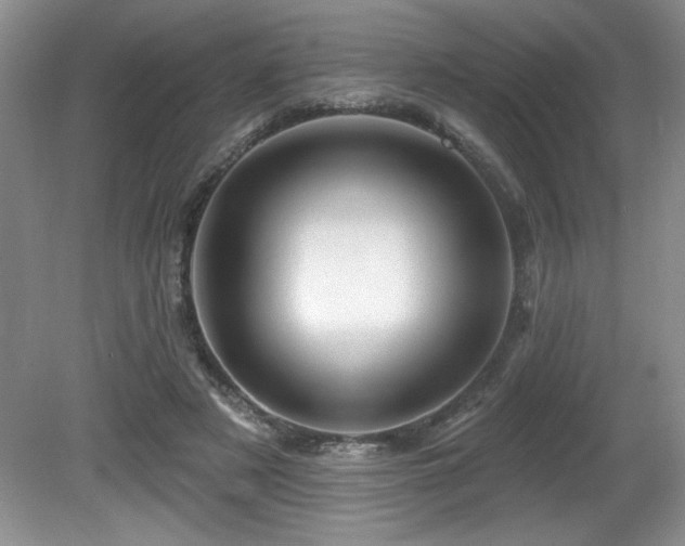 X0000081620497200701151435