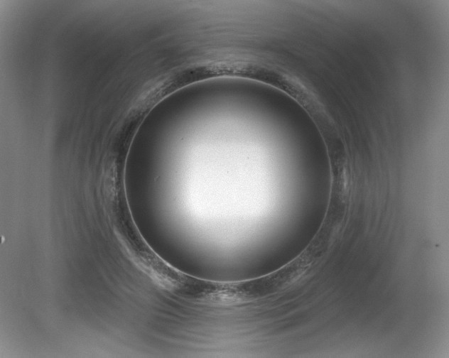 X0000081620498200701151435