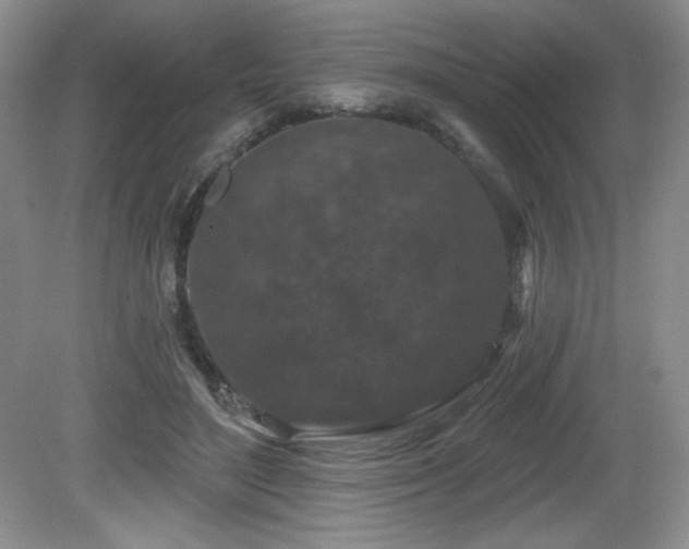 X0000081620500200701151435