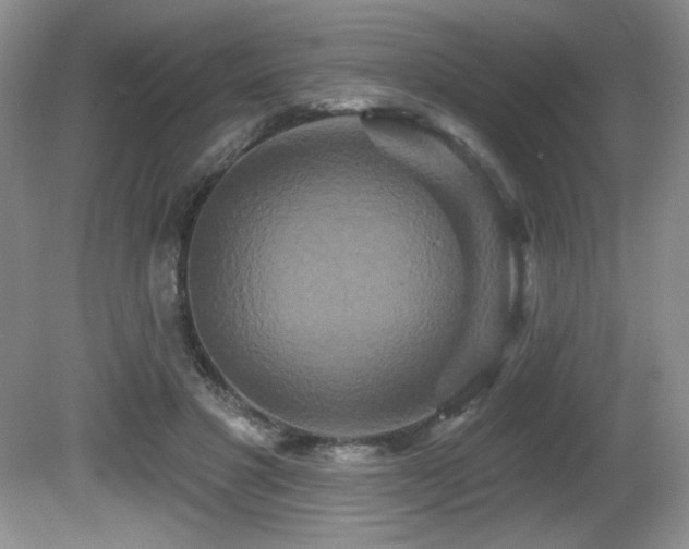 X0000081620501200701151435