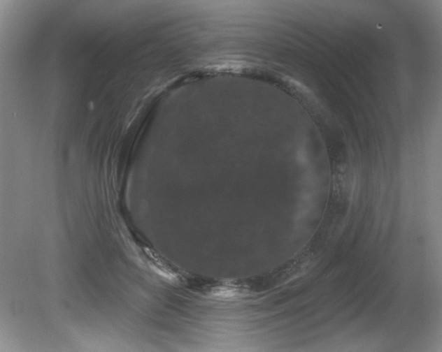 X0000081620504200701151435