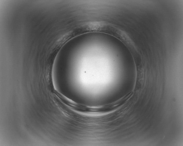 X0000081620505200701151435