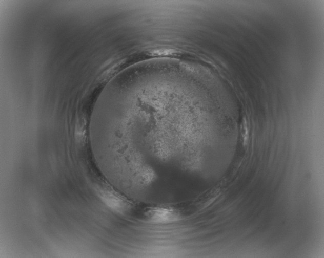 X0000081620507200701151435