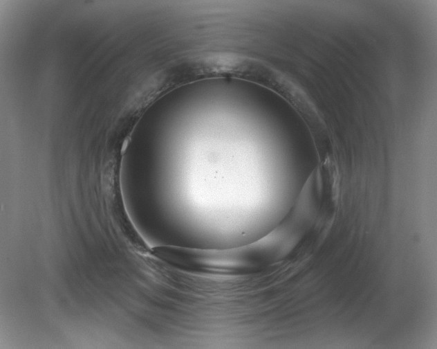X0000081620509200701151435