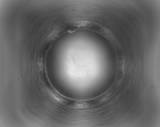 X0000081620510200701151435