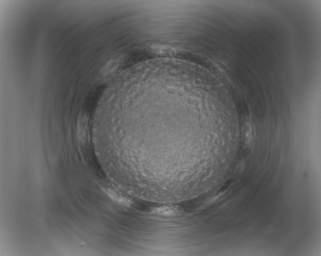X0000081620511200701151435