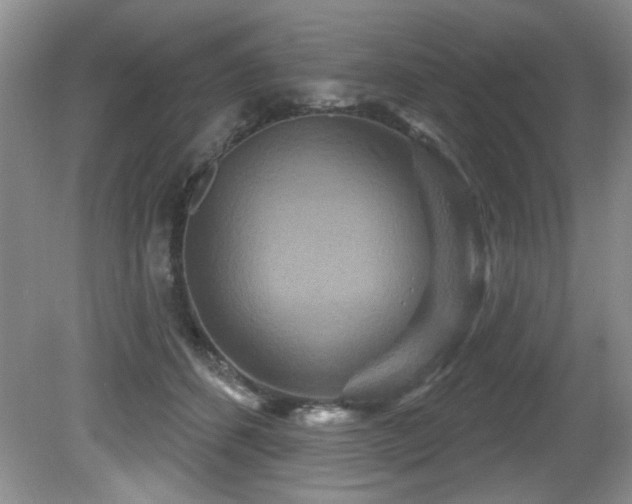 X0000081620512200701151435