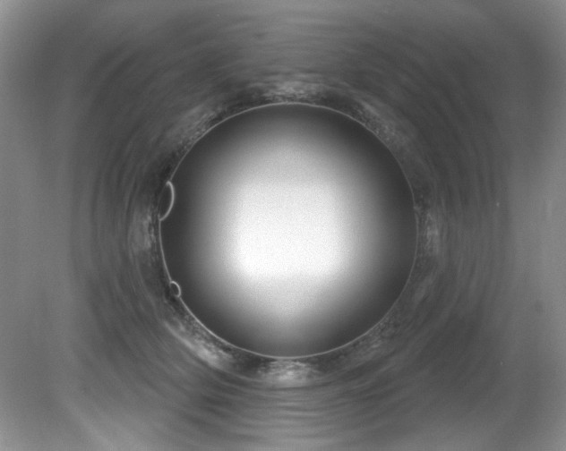 X0000081620514200701151435