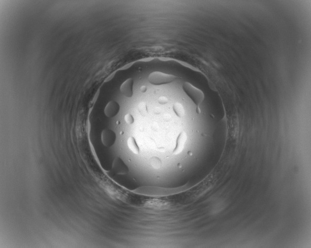 X0000081620515200701151435