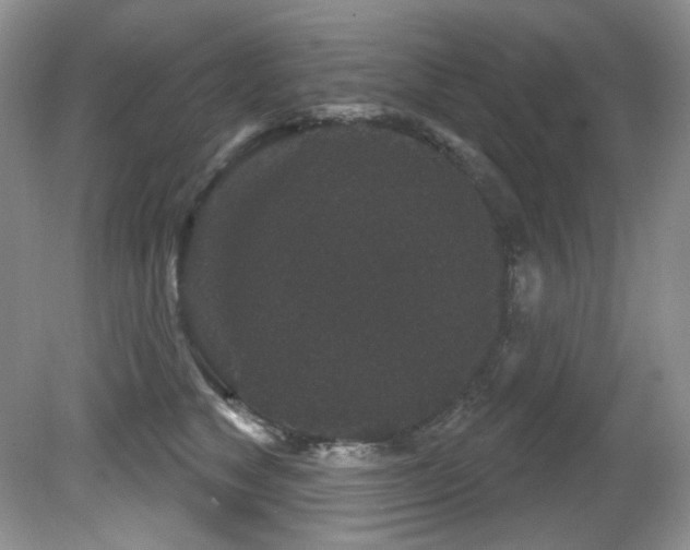X0000081620517200701151435