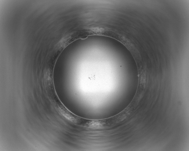 X0000081620518200701151435