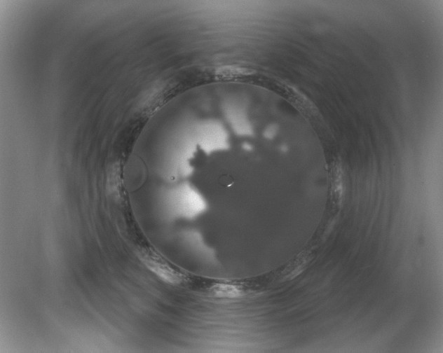 X0000081620519200701151435