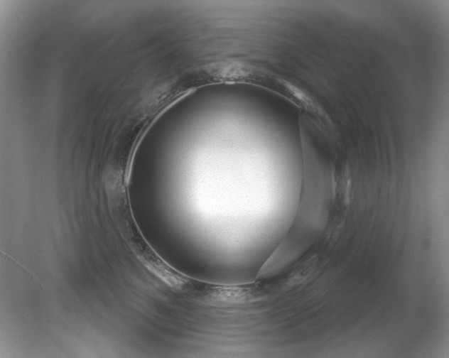 X0000081620521200701151435
