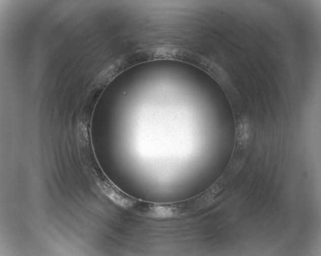 X0000081620522200701151435