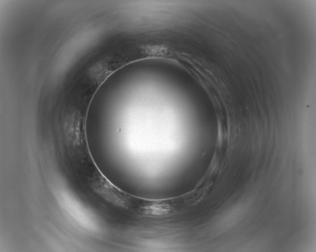 X0000081620525200701151435
