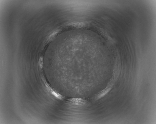 X0000081620528200701151435