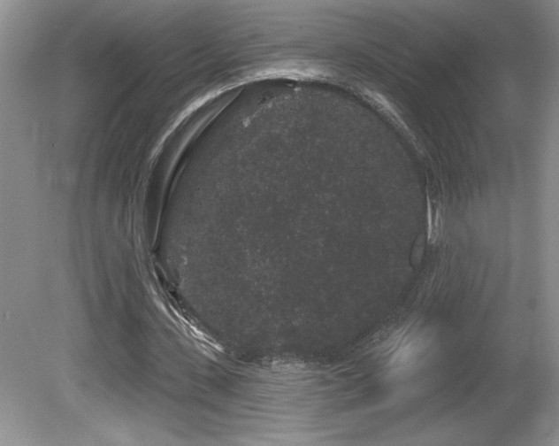X0000081620531200701151434