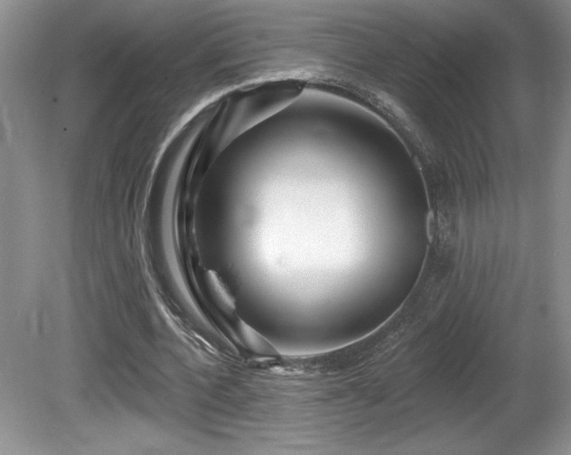 X0000081620532200701151434