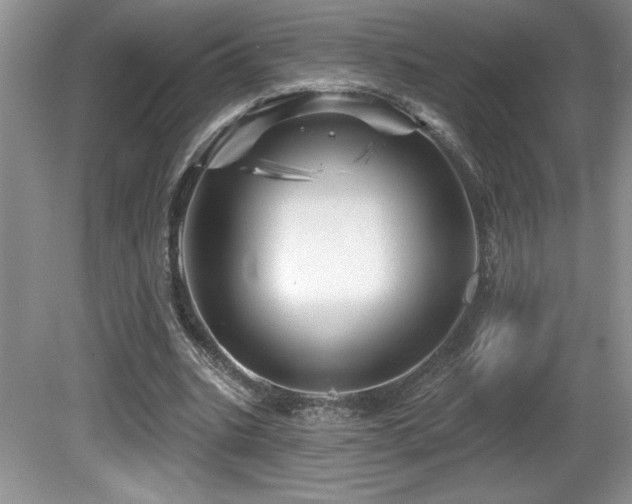 X0000081620535200701151434