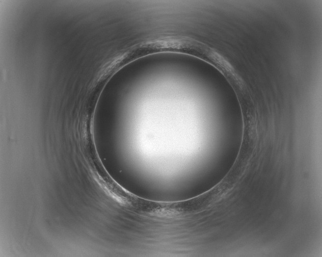 X0000081620537200701151434