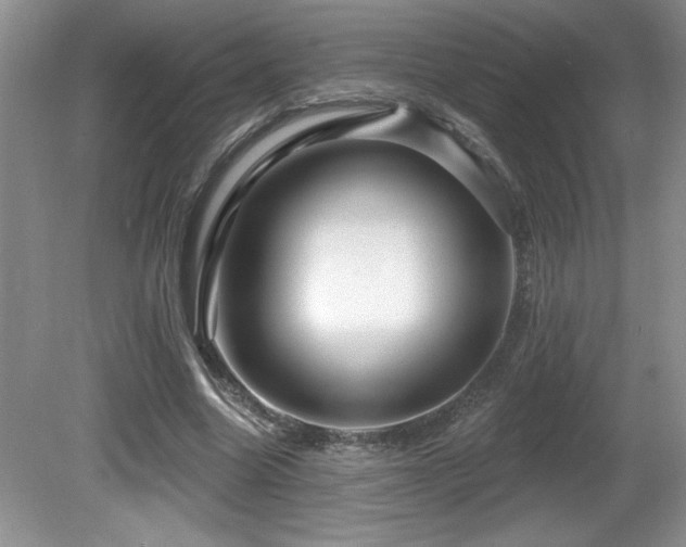 X0000081620538200701151434