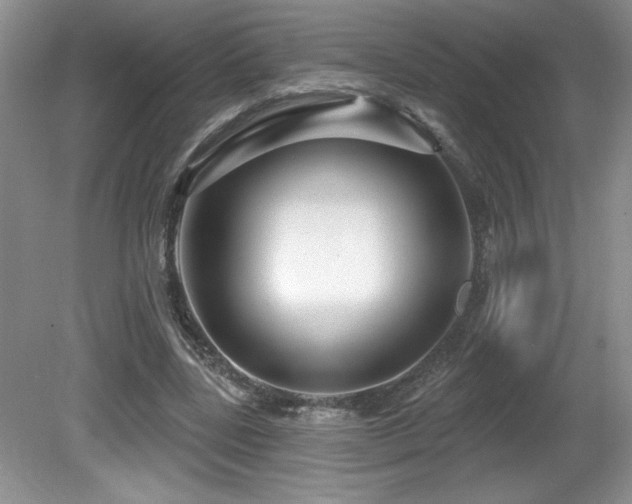 X0000081620539200701151434