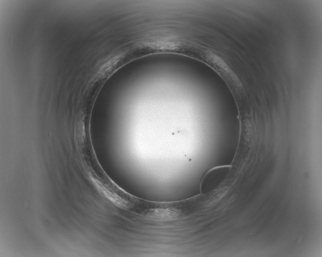 X0000081620541200701151434