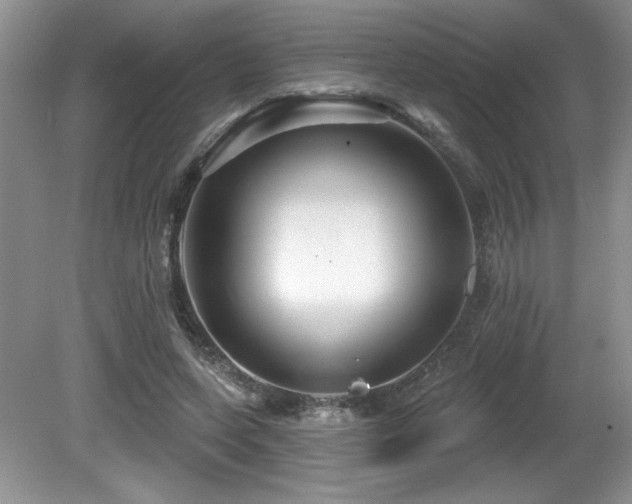 X0000081620543200701151434
