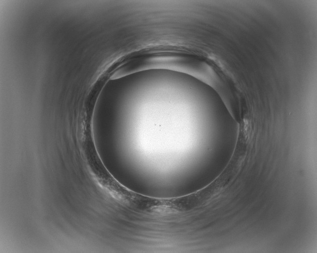 X0000081620544200701151434