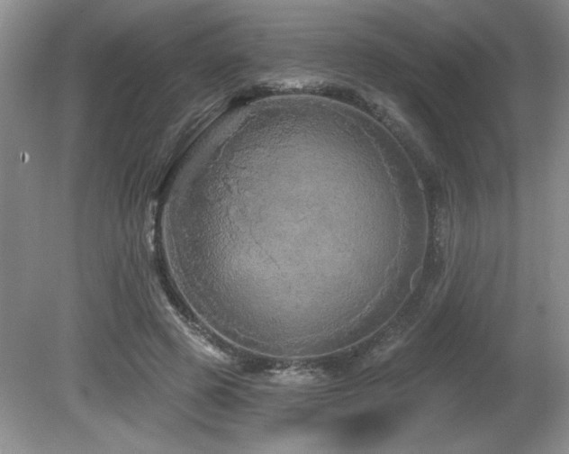 X0000081620545200701151434