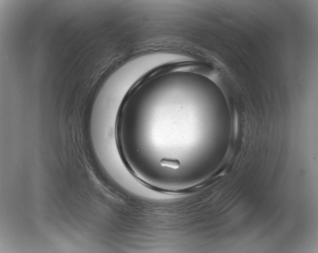 X0000081620546200701151434
