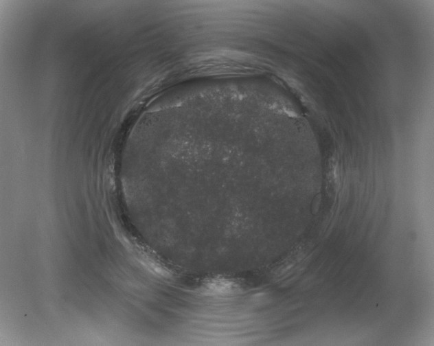 X0000081620547200701151434