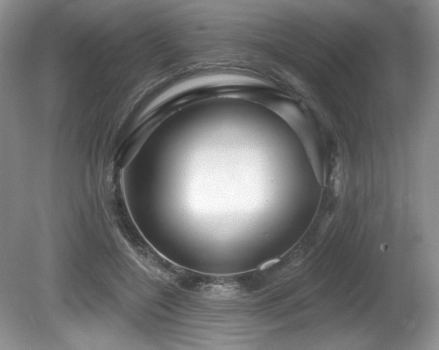 X0000081620548200701151434
