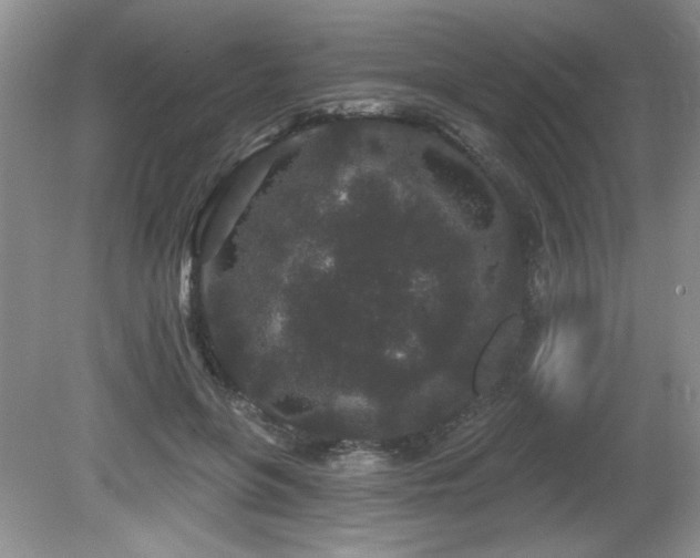 X0000081620551200701151434