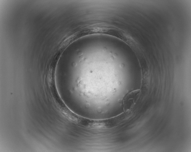 X0000081620554200701151434