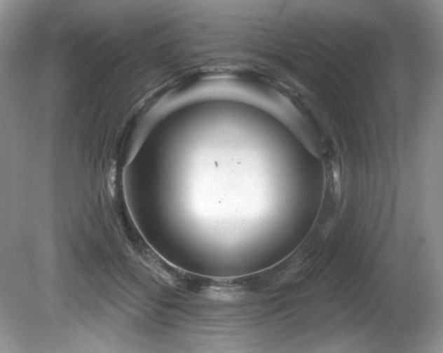 X0000081620556200701151434