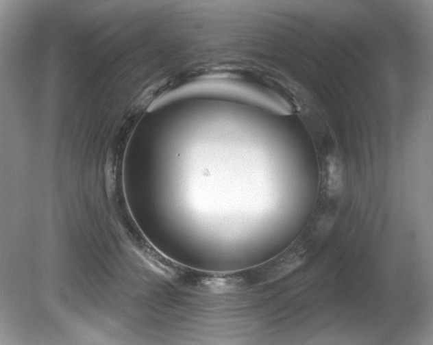 X0000081620558200701151434