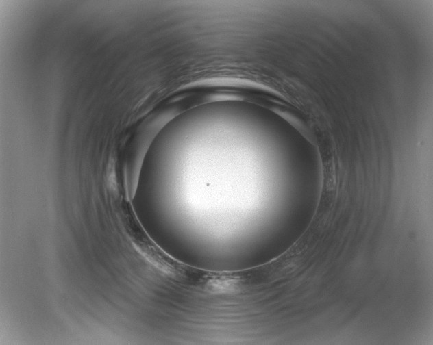 X0000081620560200701151434