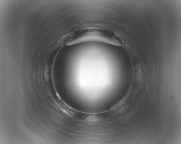 X0000081620562200701151434