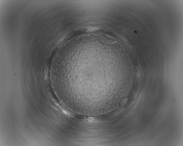 X0000081620565200701151434