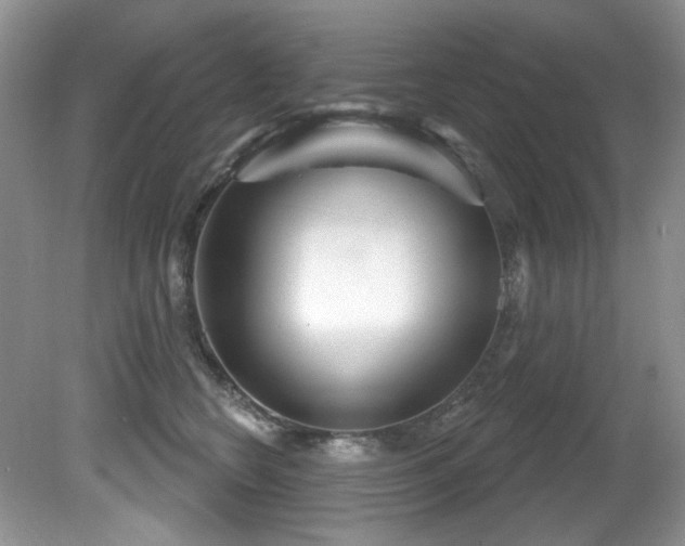 X0000081620566200701151434